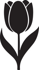 black and white heart