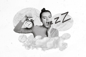 Exclusive magazine picture sketch collage image of funny lady yawning feeling tired isolated...
