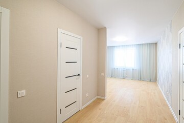 standard room interior apartment. room doors, renovation corridor lobby entrance hall