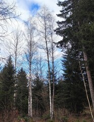 Trebević Mountain, Sarajevo
Trebević is the closest mountain that is reachable via the cable car...