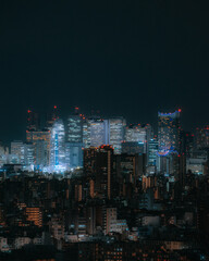 Tokyo skyline at night when the building lights are on