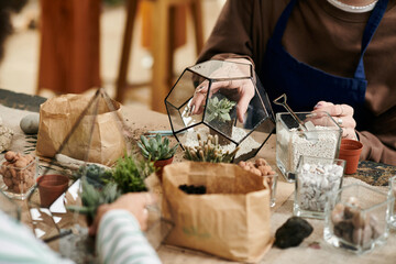 Crafting vibrant succulent ecosystems at a lively workshop with friends