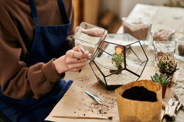 Creating a vibrant succulent terrarium with friends in a cozy workshop setting