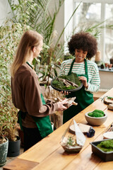 Creativity blooms in vibrant plant workshop filled with friendship and succulents