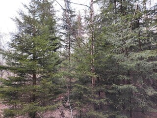 Trebević Mountain, Sarajevo
Trebević is the closest mountain that is reachable via the cable car...