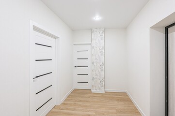 standard room interior apartment. room doors, renovation corridor lobby entrance hall