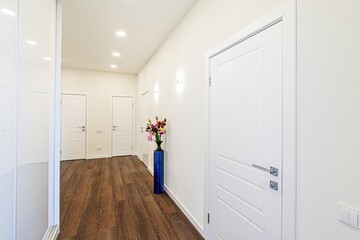 standard room interior apartment. room doors, renovation corridor lobby entrance hall