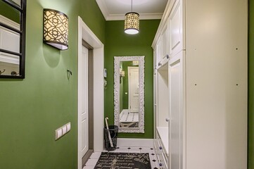 standard room interior apartment. room doors, renovation corridor lobby entrance hall