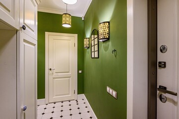 standard room interior apartment. room doors, renovation corridor lobby entrance hall