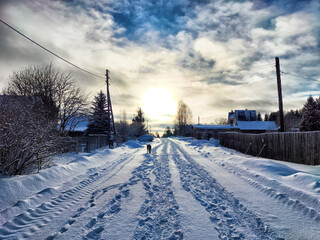 Winter landscape shows a snow-covered road under a cloudy sky with a dog walking towards the sun