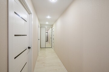 standard room interior apartment. room doors, renovation corridor lobby entrance hall