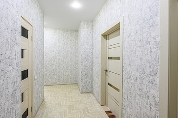 standard room interior apartment. room doors, renovation corridor lobby entrance hall