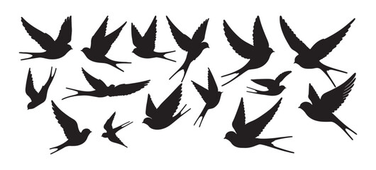 set of hand drawn  Swallows silhouette isolated on white background. Bundle silhouette.