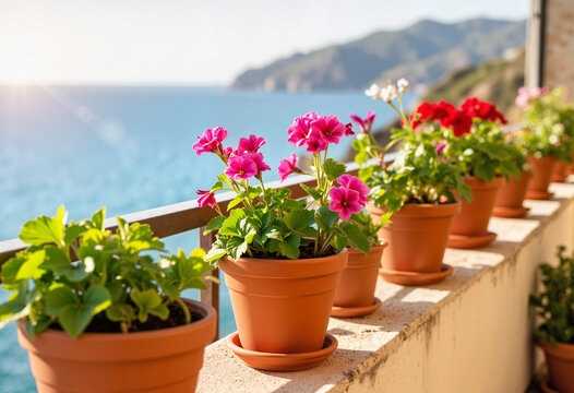 Blooming geraniums on sunlit balcony overlooking Mediterranean Sea, serenity