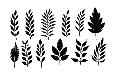 Set of leaves silhouette of beautiful plants, leaves, plant design. Vector illustration .Minimal feminine botanical floral branch in silhouette style. Hand drawn wedding herb, minimalistic flowers 