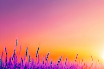 Fototapeta premium Wheat field at sunset, orange and pink sky, golden light. Ideal for summer themed background, wallpaper, nature, and agriculture