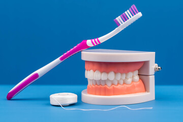 Teeth with toothbrush and dental floss. Oral hygiene, dentists, preventive dental care, concept of dental health, cleaning routines, and professional dental care essentials.