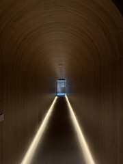 light in the long tunnel 