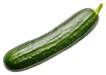 PNG Cucumber vegetable zucchini squash.