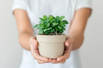 Scandi Minimalism for Flatmates Day Sustainable Co-Living with Greenery and Ceramic Decor - Autumn Renting Lifestyle and Thanksgiving Ambiance for Modern Home Sharing