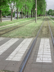 Train track with a white line on the ground
