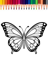 vector illustration of a butterfly