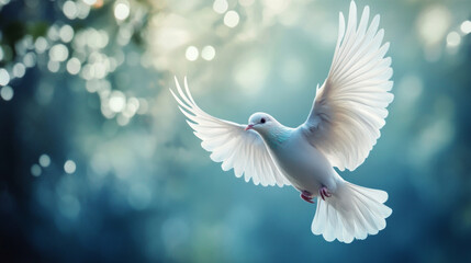 Obraz premium Majestic white dove soaring through soft sunlight surrounded by a serene natural backdrop