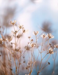 soft light color abstract background with flowers Depth of Field 