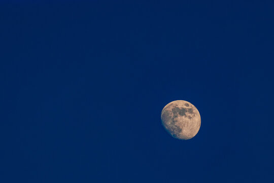 A detailed waxing gibbous moon is set against a deep blue sky. The craters and surface textures are clearly visible, creating a serene and captivating celestial scene. Copy space included. - Powered by Adobe