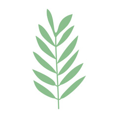 Plant leaf, branch. Icon, vector illustration,
