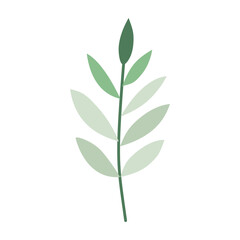 Plant leaf, branch. Icon, vector illustration,