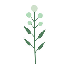 Branch with leaves and berries,