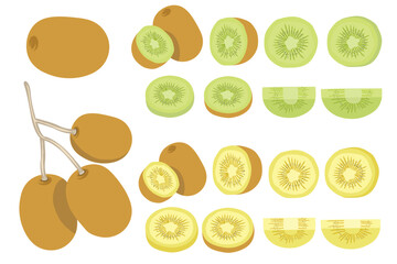 Elements Vector of Kiwi fruit.