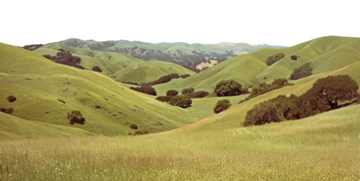 PNG Hills hill landscape grassland.