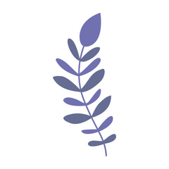 Fototapeta premium Plant leaf, branch. Icon, vector illustration