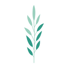 Plant leaf, branch. Icon, vector illustration, graphic design, flat style