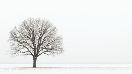Fototapeta premium Solitary Winter Tree in Snowy Field