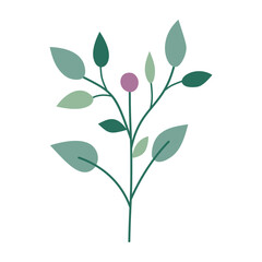 Branch with leaves and berries, isolated, vector illustration, design