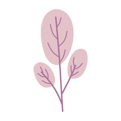 Plant leaf, branch. Icon, vector illustration, graphic design, flat style