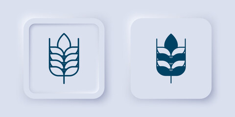 Filled and outline Cereals set with rice, wheat, corn, oats, rye, barley icon isolated on grey background. Ears of wheat bread symbols. Square button. Vector
