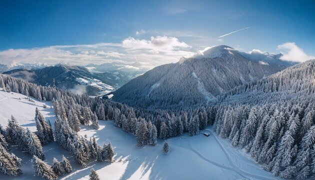 aerial photography of a snowy landscape with spruce and fir forest in alpine landscape of vorarlberg next to sulzberg austria