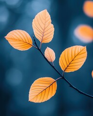 Golden Autumn Leaves on Dark Branch Capturing the Essence of Fall in a Serene Nature Scene