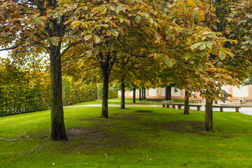 Fototapeta premium Beautiful romantic alley in a park with colorful trees, autumn landscape. High quality photo