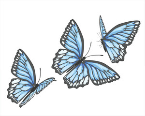 set of butterflies isolated on white watercolor paint splash brush esign hand drawn 