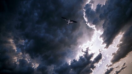 Seabird soaring against stormy sky, piercing light breaking through dark clouds, highlighting powerful silhouette and dramatic natural landscape