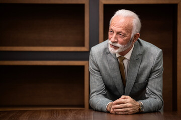 Handsome senior man with gray hair and beard in business suit standing in luxury office.