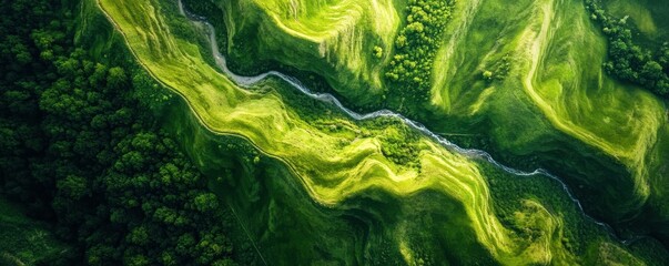 Obraz premium Aerial view of lush green hills and winding river in verdant landscape