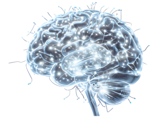  Futuristic Digital Rendering Of A Human Brain Structure