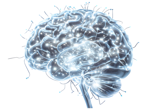  Futuristic Digital Rendering Of A Human Brain Structure
