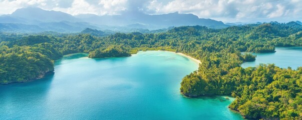 Obraz premium Tropical island landscape with lush forest and azure waters